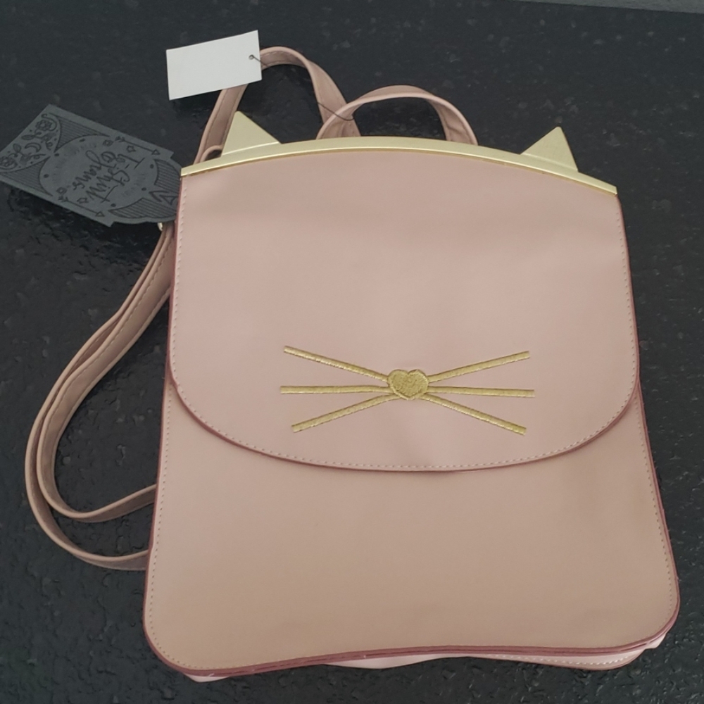 A cat purse/backpack